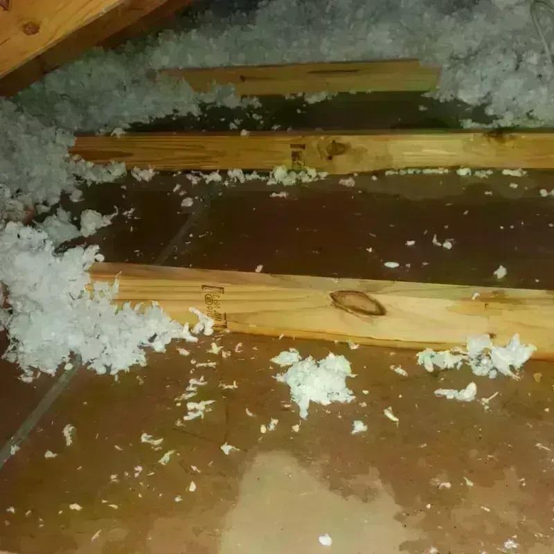 Attic Water Damage in Depue, IL