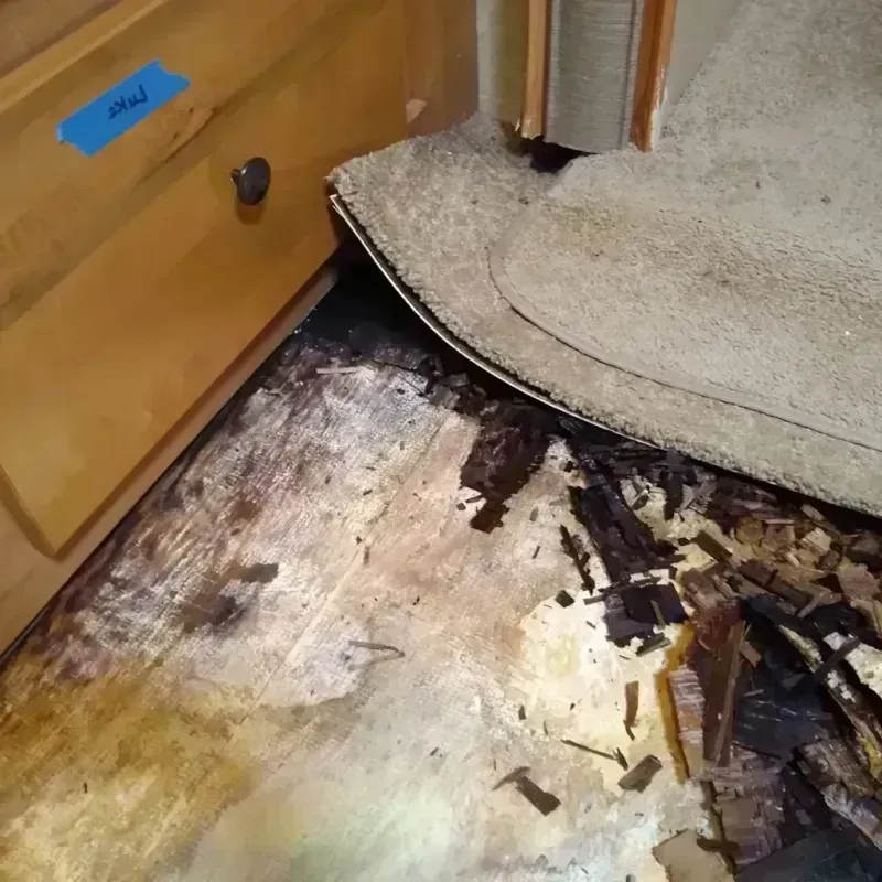 Wood Floor Water Damage in Depue, IL